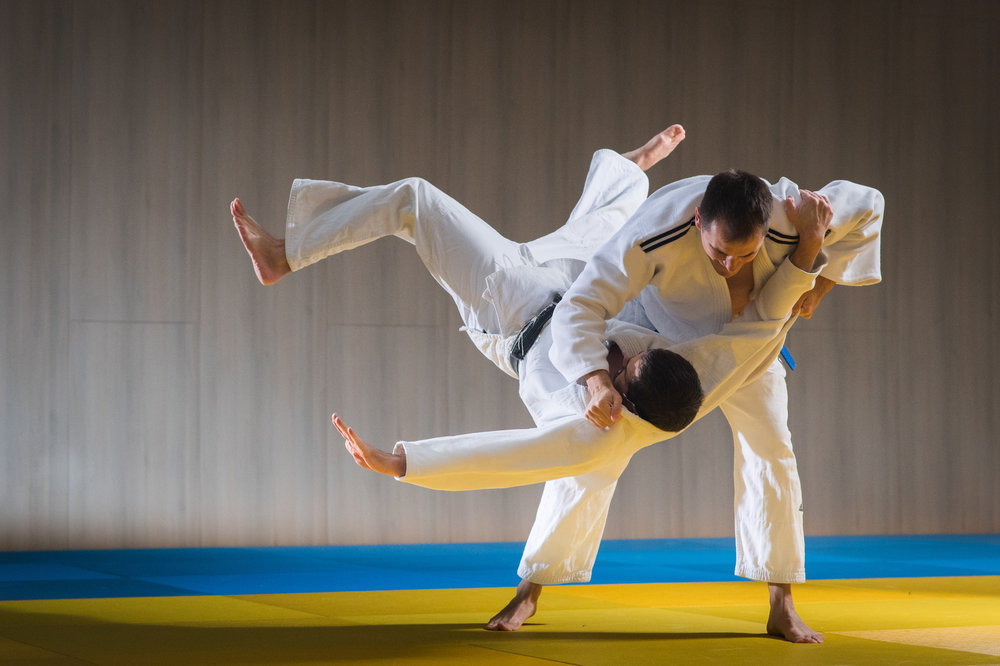 Brazilian jiu-jitsu and Self-defense Martial Arts